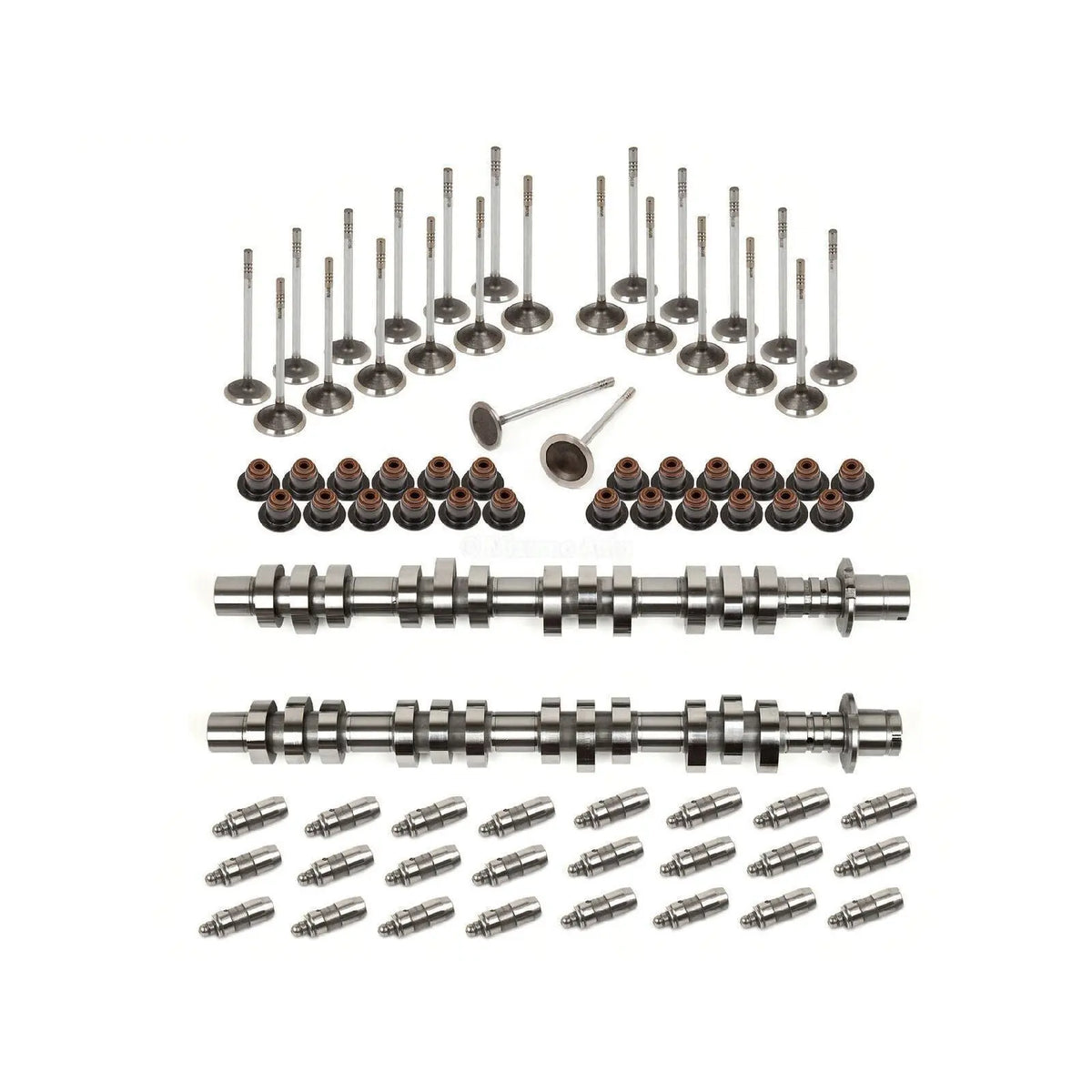 Camshafts Lifters Intake Exhaust Valves Fit 0514 Ford Mercury 5.4L TR