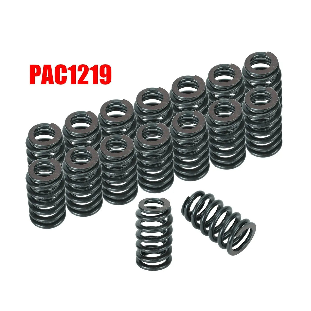 Top 15 Favorites pac 1219 valve springs