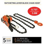 0.75 Ton Lever Block Chain Hoist 3M 10ft Chain Ratchet Lever Hoist with Hook ECCPP