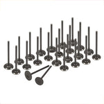 Intake Exhaust Valves Fit Infiniti J30 Nissan 300ZX Non & Turbo VG30DE VG30DETT