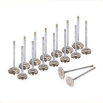 High Performance Intake Exhaust Valves Fit 94-01 Acura Integra TypeR B18C1 B18C5