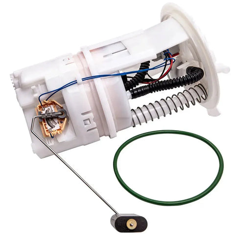 Electric Fuel Pump Module Assembly compatible for Chrysler Town and Country V6-3.3L 05 E7196M MAXPEEDINGRODS