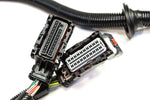 2009-2014 LS LSX LY6 (6.0L)/ L92 (6.2L) Standalone Wiring Harness With T56 MD Performance