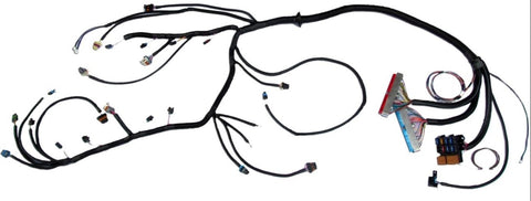 99 - 03 LS LSX Vortec 4.8 5.3 6.0 Standalone Wiring Harness T56 DBC MD Performance