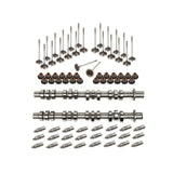 Camshafts Lifters Intake Exhaust Valves Fit 05-14 Ford Mercury 5.4L TRITON 24V MIZUMOAUTO