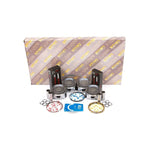Full Gasket Set Pistons Bearings Fit 02-06 Toyota 2.4L DOHC 2AZFE MIZUMOAUTO