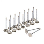 High Performance Intake Exhaust Valves Fit 94-01 Acura Integra TypeR B18C1 B18C5 MIZUMOAUTO