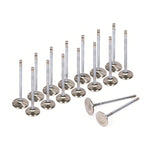 High Performance Intake Exhaust Valves Fit 94-01 Acura Integra TypeR B18C1 B18C5 MIZUMOAUTO