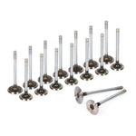 Intake Exhaust Valves Fit 91-98 Nissan 240SX Altima 2.4L DOHC KA24DE MIZUMOAUTO