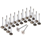 Intake Exhaust Valves Fit 93-02 Ford Proble Mazda 626 MX6 2.5 DOHC KL MIZUMOAUTO