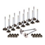 Intake Exhaust Valves w/ Seals Fit 91-98 Nissan 240SX Altima 2.4L KA24DE MIZUMOAUTO
