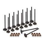 Intake Exhaust Valves w/ Seals Fit 92-05 Honda Civic Del Sol D16Z6 D17A MIZUMOAUTO